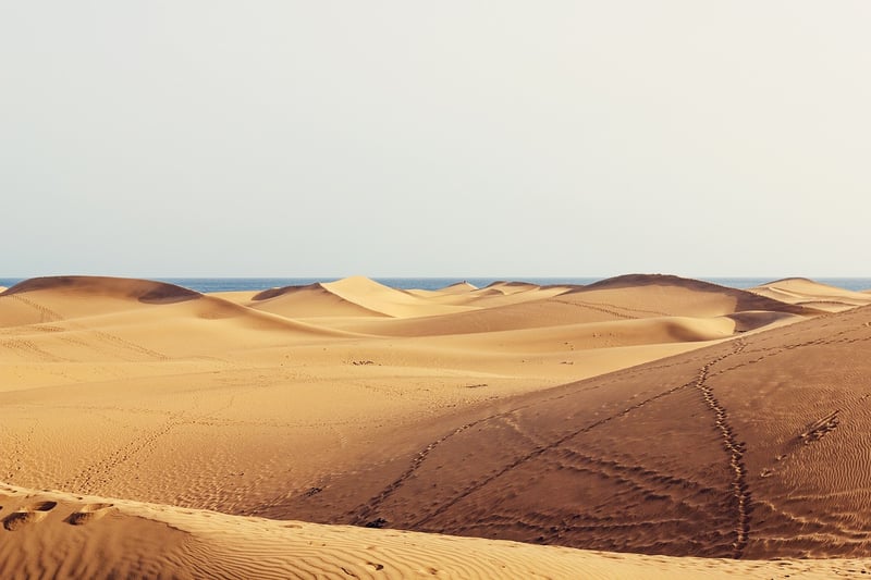 Desert excursions