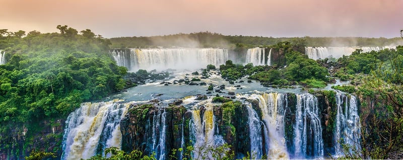 Amazon Rainforest
