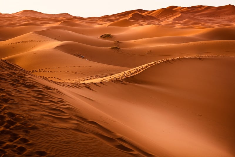 Arabian Desert